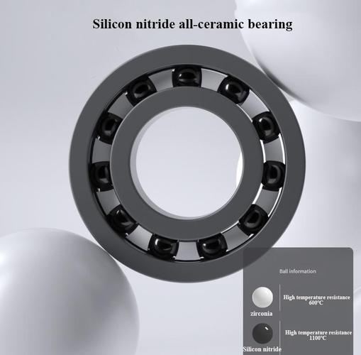 Ceramic skateboard bearings technical diagram