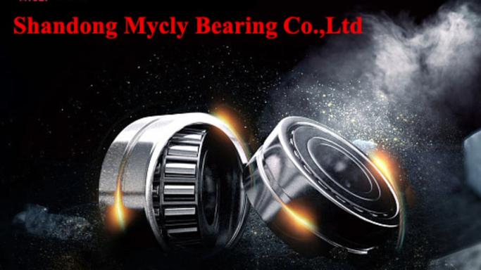 miniature linear bearings medical instruments cross-section diagram